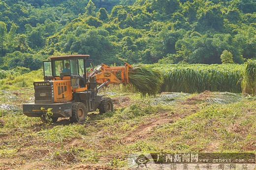 加視頻【你笑起來真好看】凝聚廣西人力量 奪取脫貧攻堅戰全面勝利