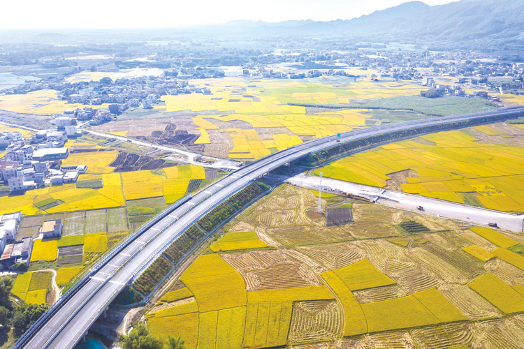 六賓高速公路建成通車 賓陽至南寧實現“1小時直達”