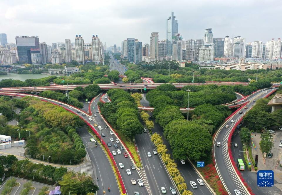 南寧：鮮花扮靚城市