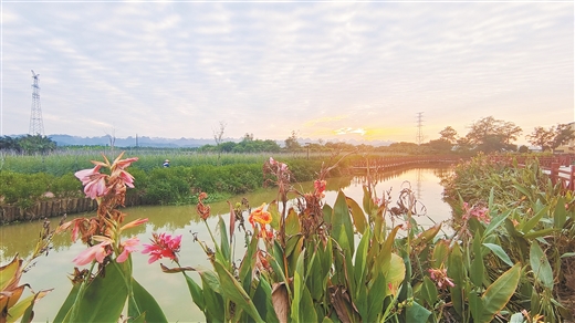 廣西持續推進水土流失治理 綠了山川富了民