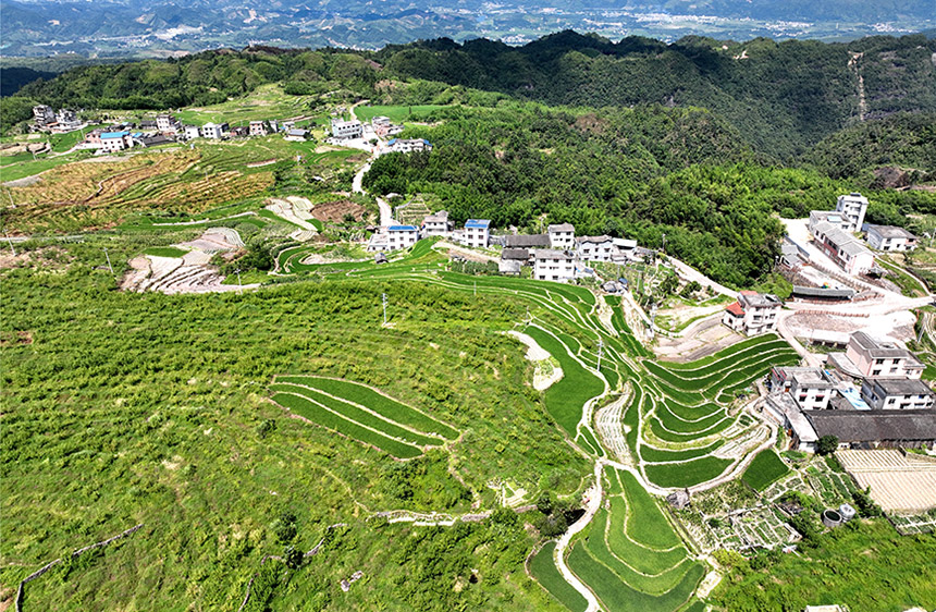 廣西金秀：瑤寨“旅遊飯”越吃越香