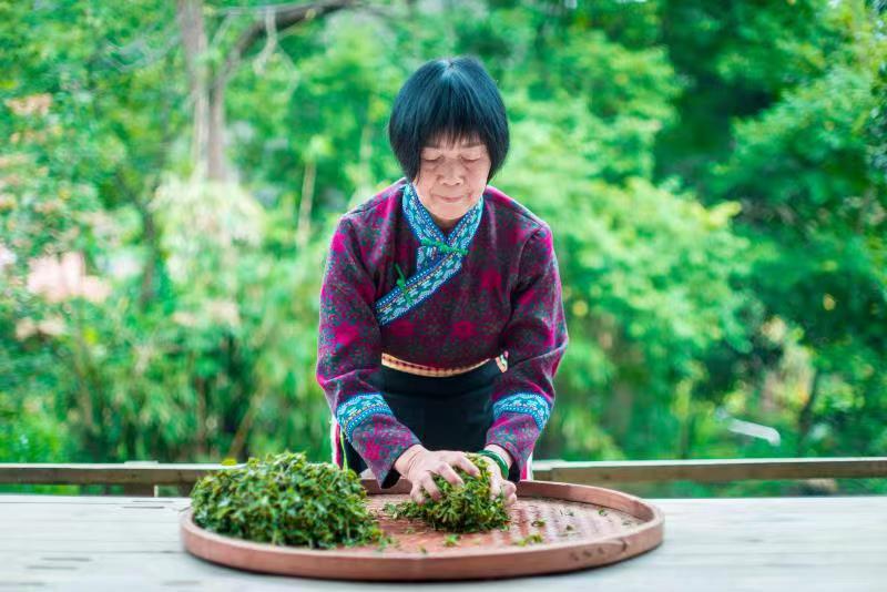 “中國茶”成功申遺 廣西六堡茶、油茶醇潤世界