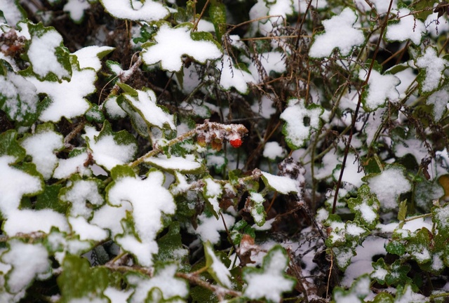 廣西：高寒山區白雪皚皚現絕美風景