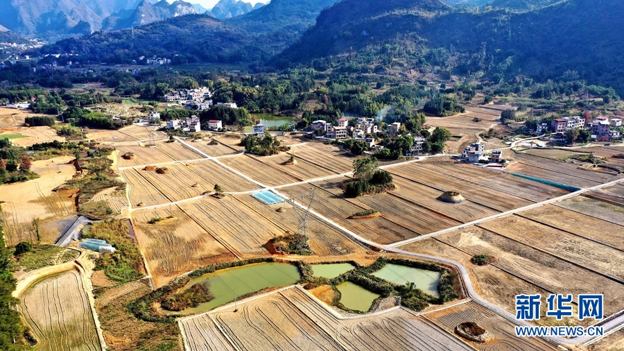 廣西河池：田園綜合體 新年蘊生機