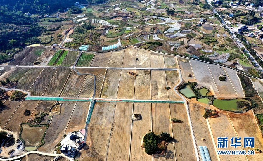 廣西河池：田園綜合體 新年蘊生機