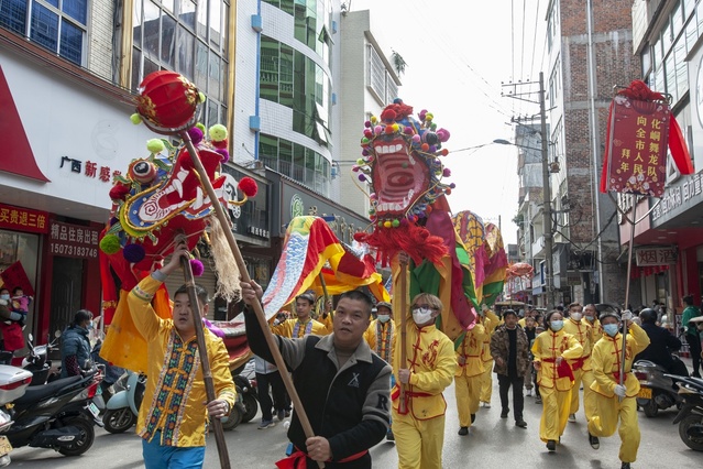 廣西：格桑花開春意濃