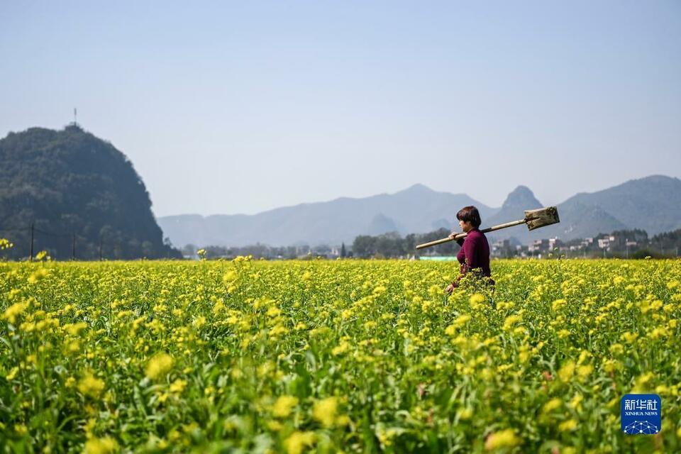 廣西：人勤春來早