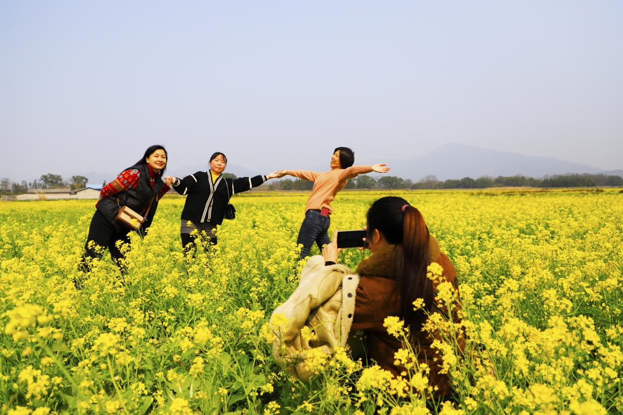 桂林靈川：油菜花開春意濃 踏青賞花正當時_fororder_圖片12