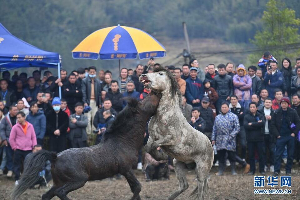 廣西融水：坡會帶動旅遊復蘇