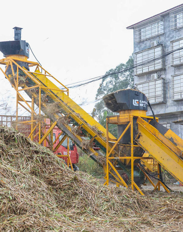 廣西來賓：科技助力春植蔗轉型升級