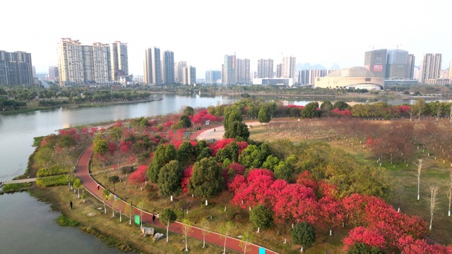 廣西：又到桃花滿山爛漫時