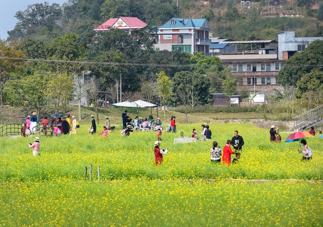 廣西：鄉村遊 享春光