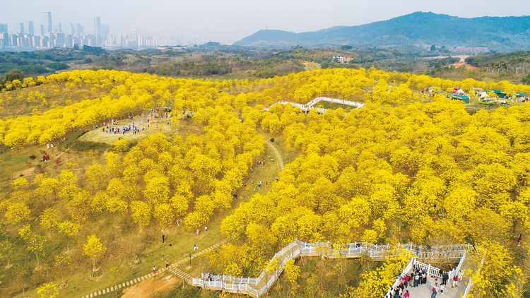 南寧市積極探索“公園+”模式構建生態美麗宜居綠城