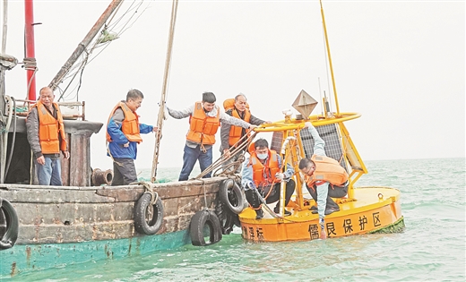 廣西實現聲學監測海洋哺乳動物