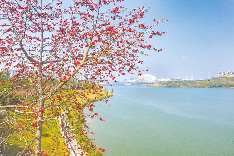 南疆春色芬芳艷 文旅秀出新“花”樣