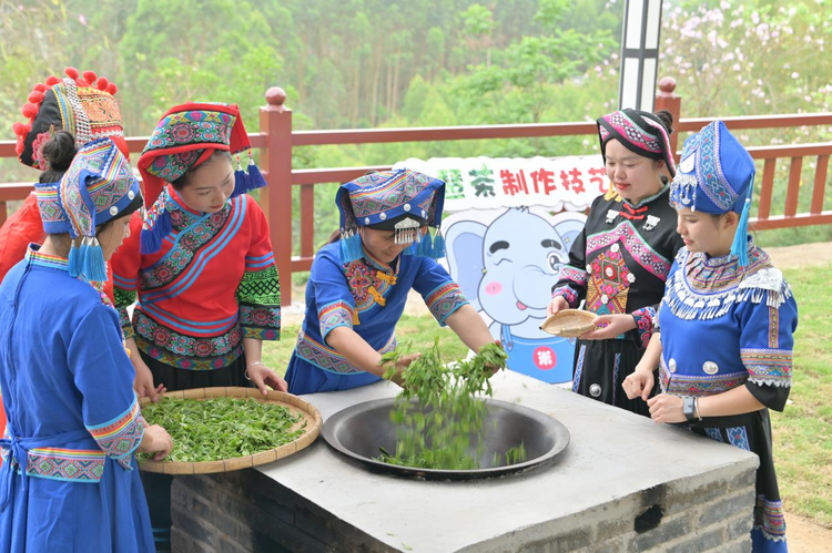 廣西來賓：舉辦茶旅文化活動 邀遊客感受壯鄉民族風情_fororder_圖片10