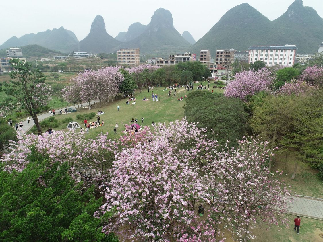 廣西：花映樓橋美如畫