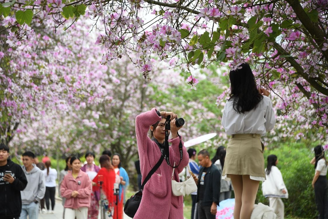 廣西：花映樓橋美如畫