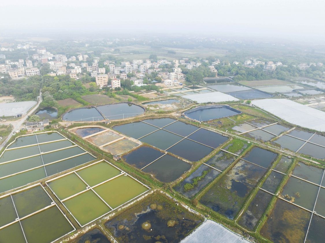 廣西：田園景色美