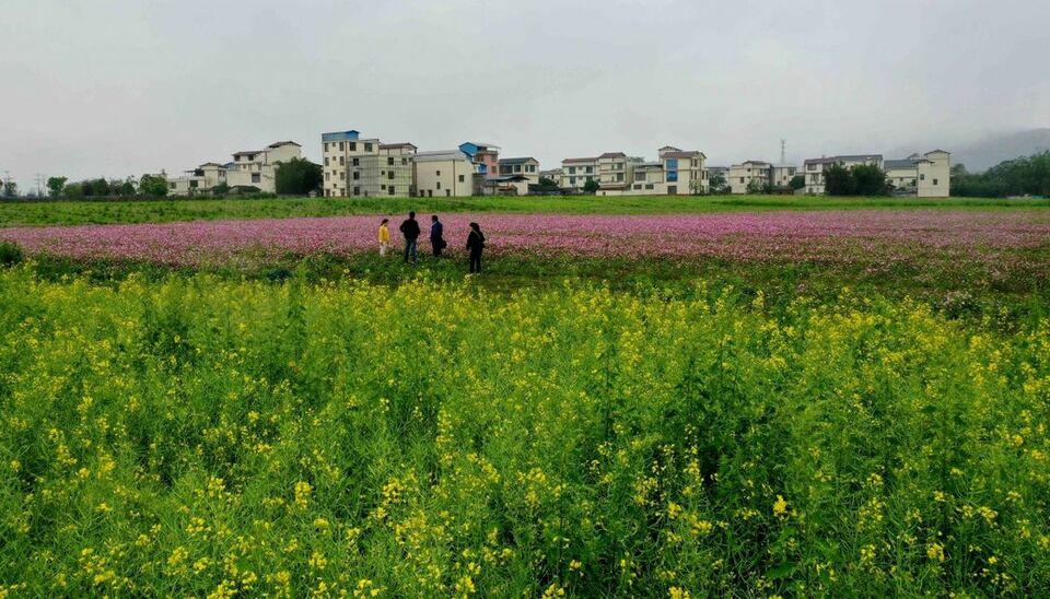 廣西：田園景色美