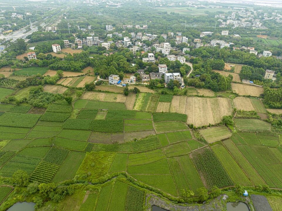 廣西：田園景色美