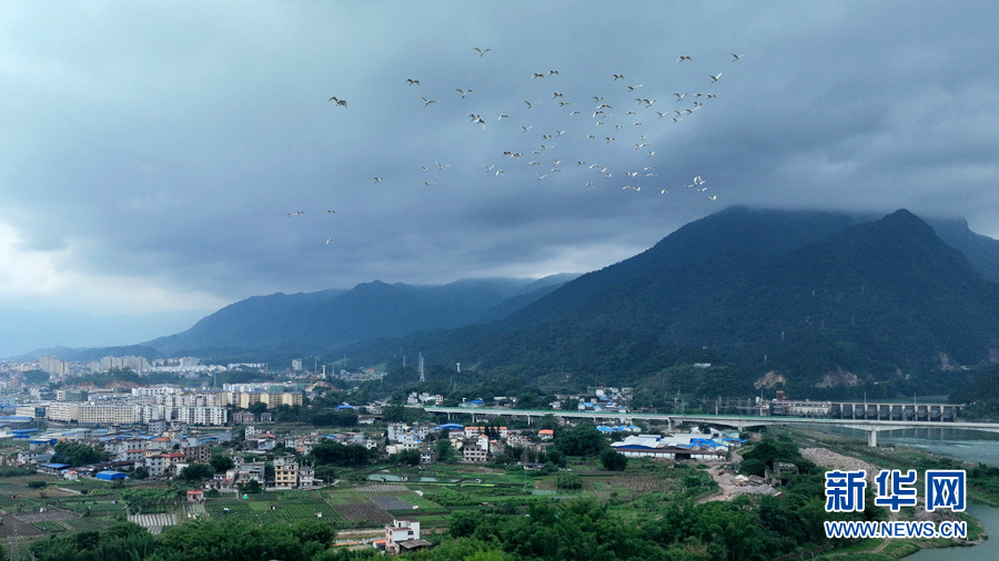 廣西：山清水秀白鷺飛