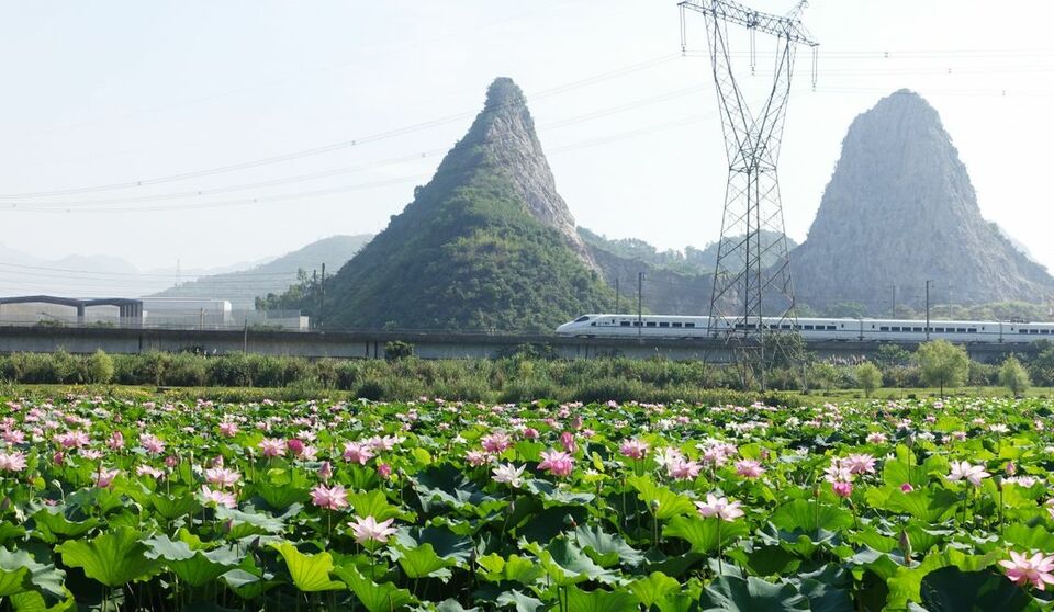 廣西：夏日風景美如畫