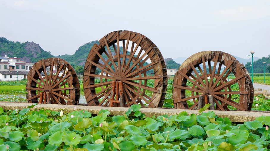 廣西鹿寨：濕地生態避暑遊助推鄉村旅遊火起來_fororder_圖片134