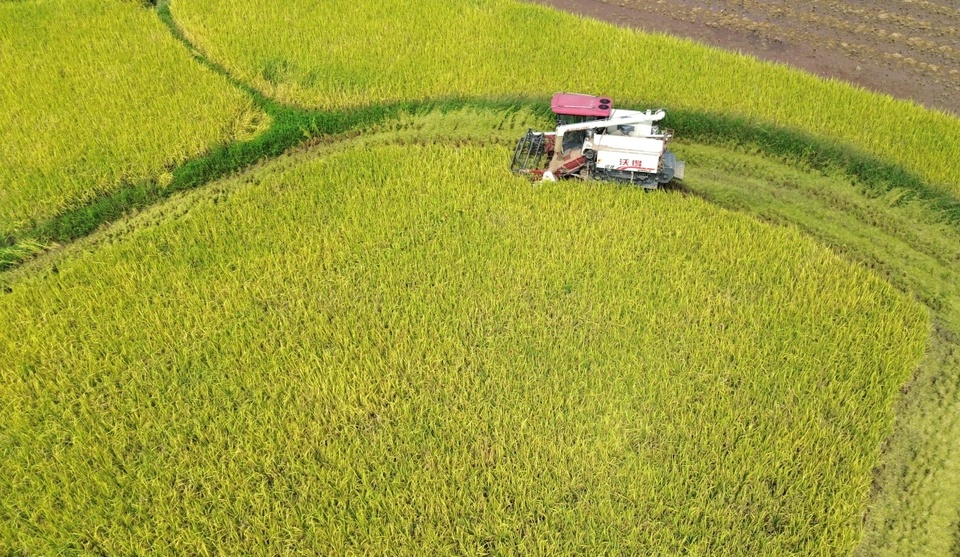 廣西：霞映漓江山河壯