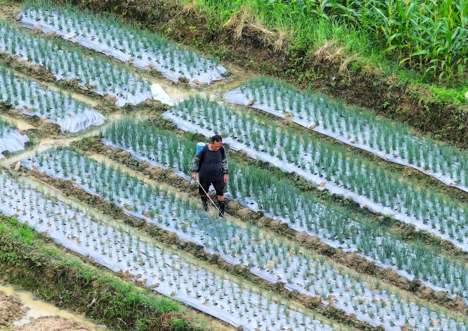 廣西：暑期研學忙