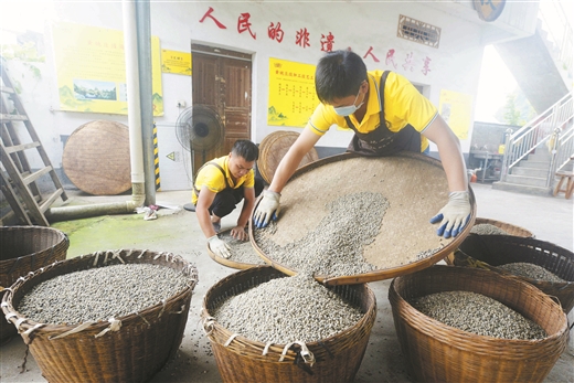 深耕康養勝地 繪就詩和遠方 ——廣西全力做大做優做強大健康産業