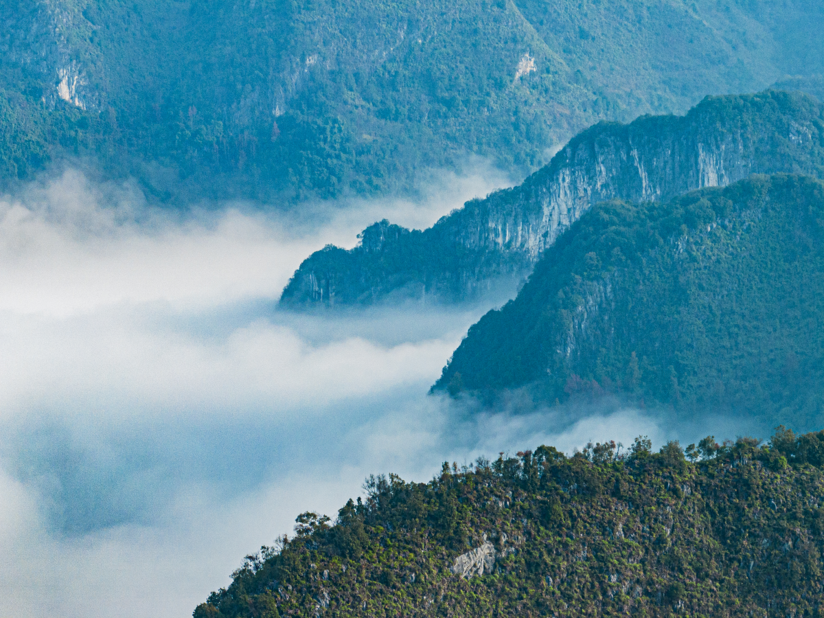 廣西鳳山：雲霧繚繞“峰”景美_fororder_圖片3_副本