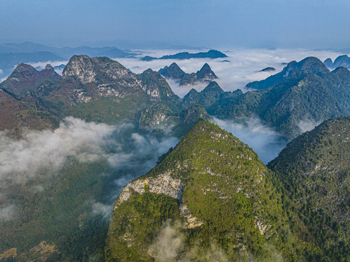 廣西鳳山：雲霧繚繞“峰”景美_fororder_圖片5_副本