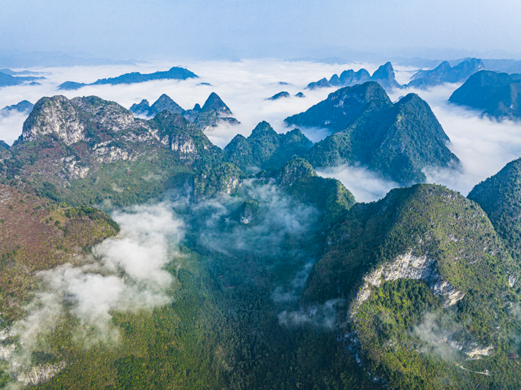 廣西鳳山：雲霧繚繞“峰”景美_fororder_圖片6_副本