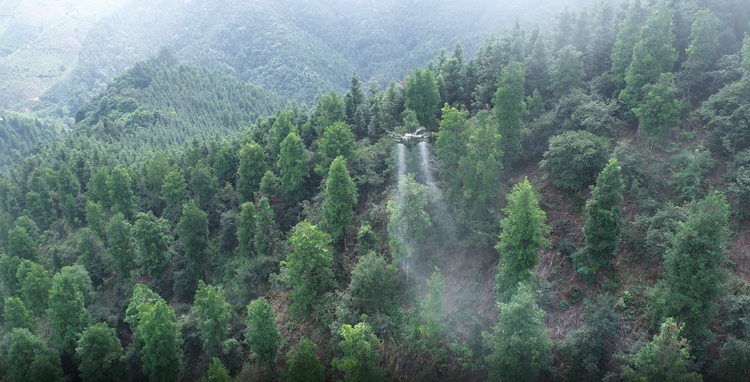 廣西鳳山縣：讓綠水青山成為群眾的“幸福靠山”_fororder_圖片4