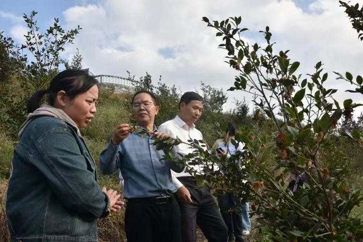 廣西鳳山縣：讓綠水青山成為群眾的“幸福靠山”_fororder_圖片3