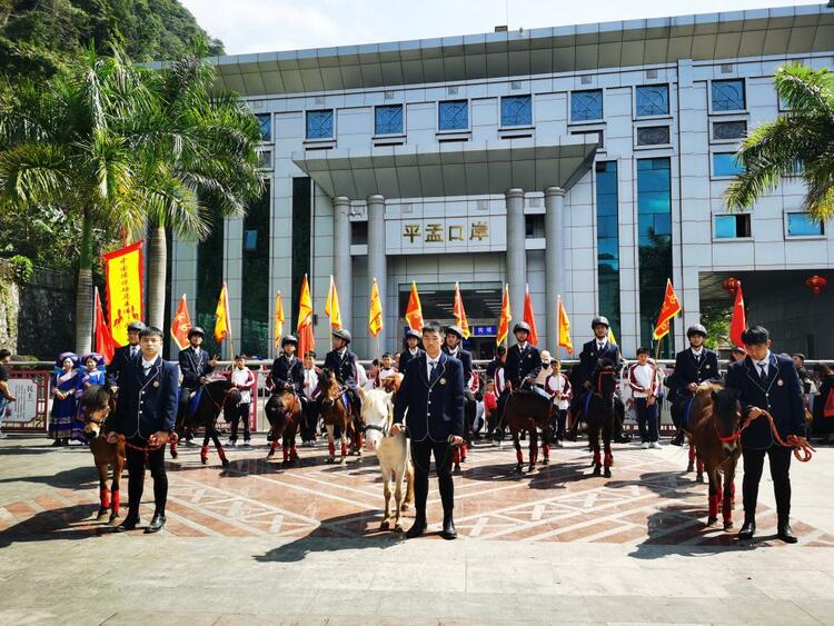 德保矮馬亮相中越邊民大聯歡活動