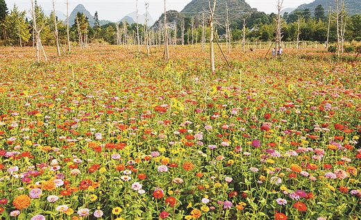 漓江上游增福地 古韻神奇看靈川 ——靈川縣創建廣西特色旅遊名縣工作紀實