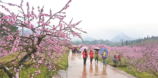 漓江上游增福地 古韻神奇看靈川 ——靈川縣創建廣西特色旅遊名縣工作紀實