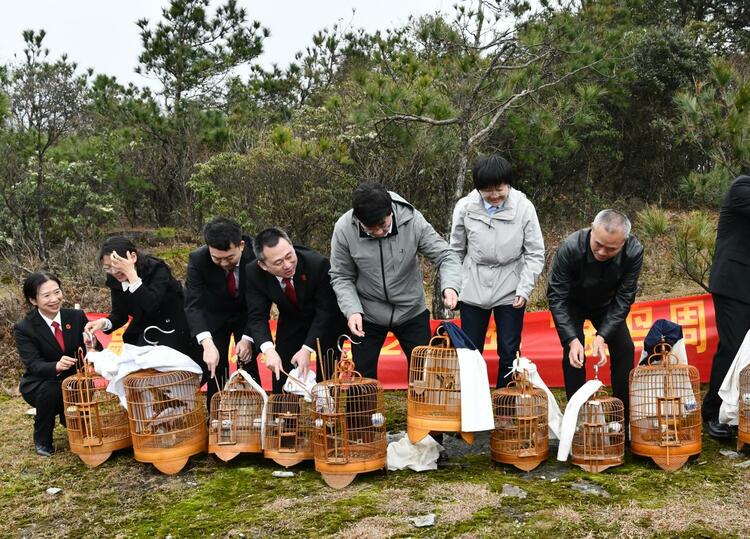 廣西多措並舉為候鳥遷徙保駕護航 八桂大地真正成為“候鳥天堂”_fororder_20240323_124044