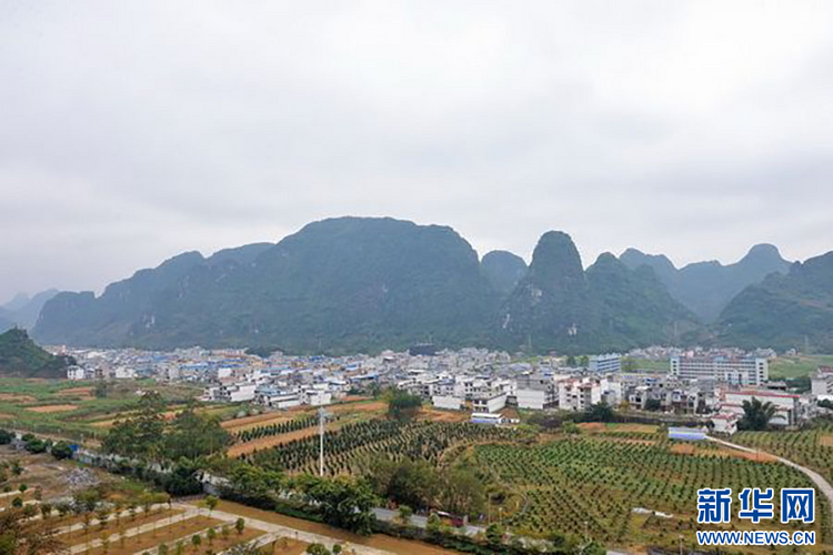 “文旅+”點亮廣西旅遊經濟“開門紅”