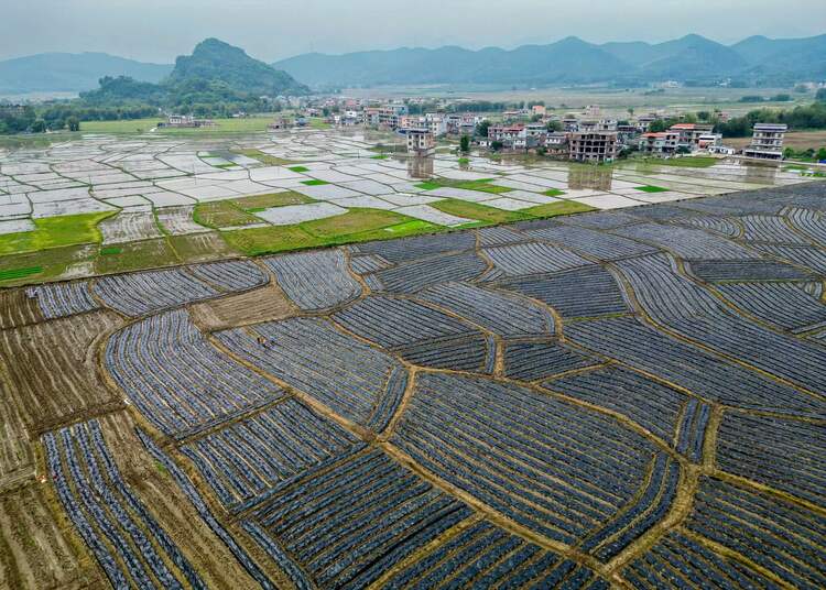 賀州市八步區：繪好春耕圖 孕育豐收景_fororder_微信圖片_20240409102654