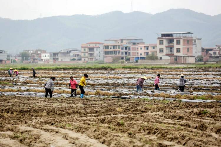 賀州市八步區：繪好春耕圖 孕育豐收景_fororder_微信圖片_20240409102650