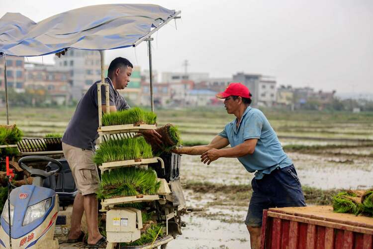 賀州市八步區：繪好春耕圖 孕育豐收景_fororder_微信圖片_20240409102658