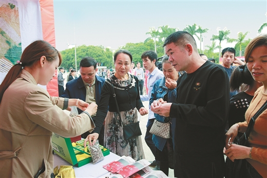 強化黨建引領 突出邊關特色 崇左加快打造南疆國門鄉村振興品牌