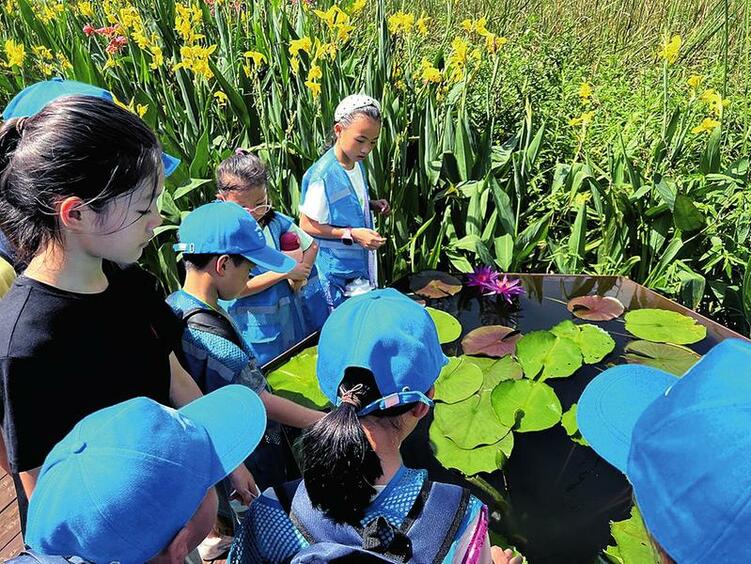 錦繡河山美如畫 夏日歡聚在綠城