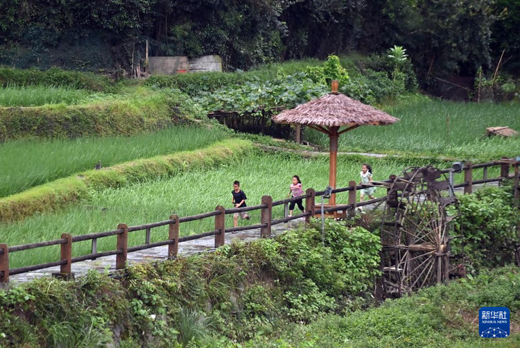 文化中國行丨平岩村：侗寨笙歌奏唱富村強音