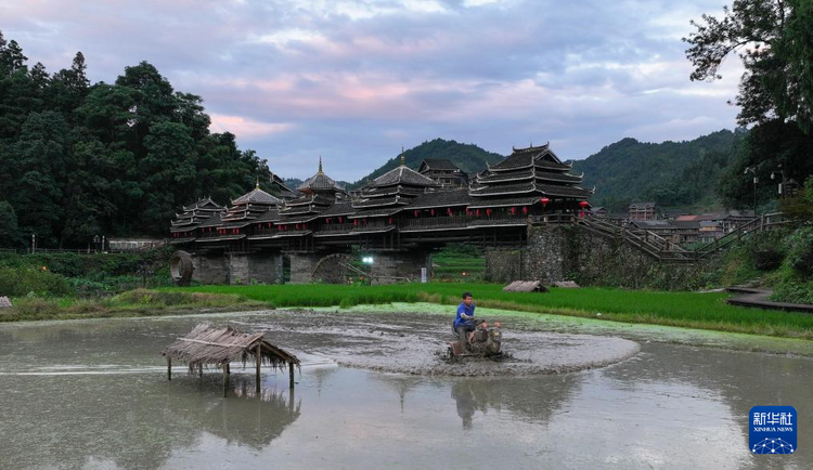 文化中國行丨平岩村：侗寨笙歌奏唱富村強音