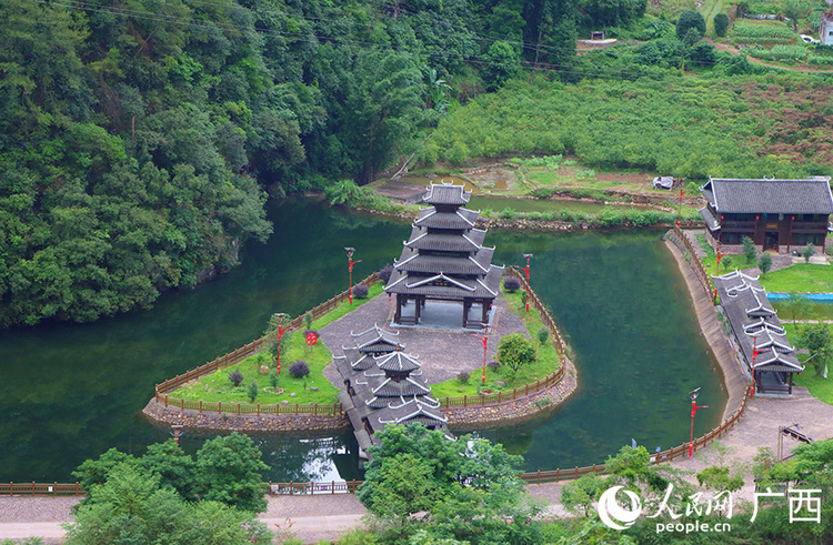 廣西金秀：點“綠”成“金”推動鄉村振興