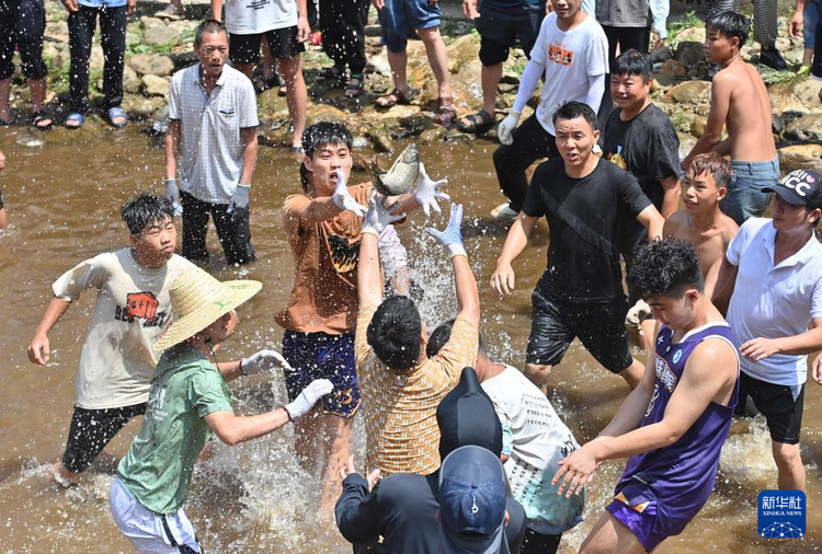 粵桂協作助力苗鄉文旅産業振興